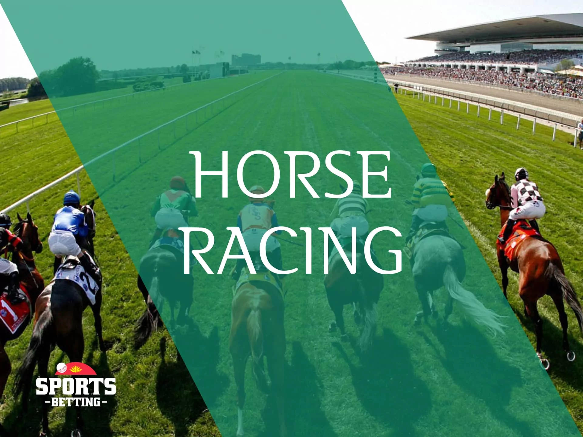 Horse racing is a part of equestrian sport, usually a competition involving three or more horses.