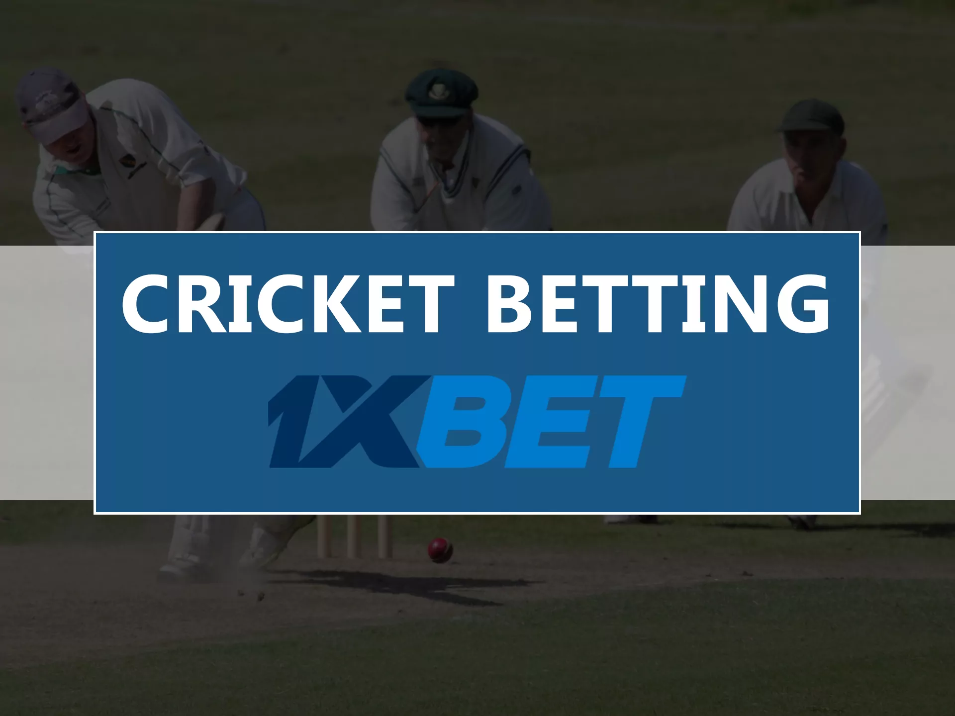 cricket Betting is available 1xbet with highest odds.