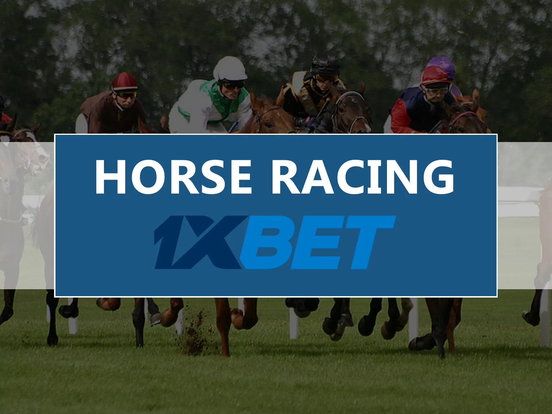 Horse Racing Betting betting on 1xbet.